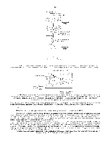 Transportul vezicular - ghidul chimistului 21