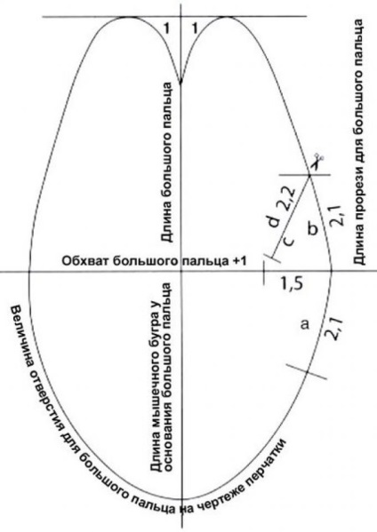 Modelul mănușilor