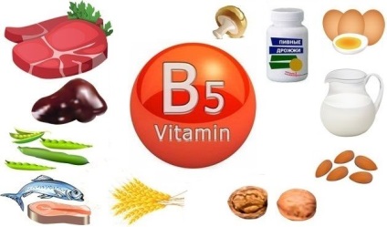 Vitamina B5 (acid pantotenic)