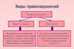 În ce domeniu este interzisă înregistrarea cu un cazier judiciar