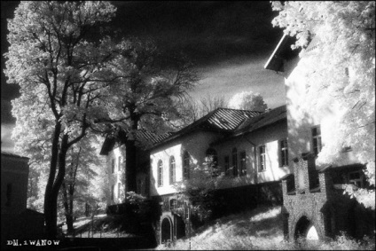 Magia filmului infraroșu efke ir820 - blog photopointlog photopoint