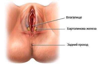 Inflamația glandei Bartholin provoacă, simptome și tratament