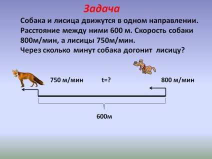 Sarcina câinelui și a vulpei se mișcă într-o direcție - prezentare 180991-12