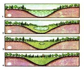 Sarcina numărul 5 dinamica ecosistemelor