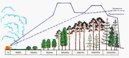 Sarcina numărul 5 dinamica ecosistemelor