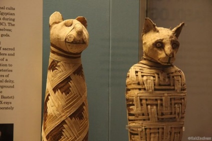 Misterios vechi Egipt 15 secrete incomprehensibile ale civilizației antice