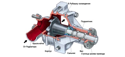 Înlocuirea pompei (pompa de apă) pe vaza 2121 cu mâna proprie injector, carburator, cum se schimbă