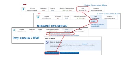 Completarea unei declarații fiscale on-line 3-ndl în contul personal al contribuabilului, ca alternativă