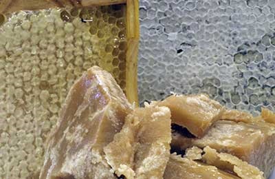 Jurnalul Apiculturii - Examenul de calitate pentru miere