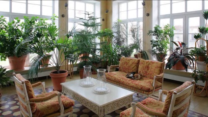 Grădină de iarnă în casă sau apartament, proiecte frumoase de design și aspect, plantare