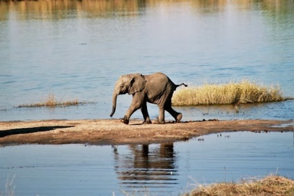10 parcuri naționale renumite și interesante din Africa