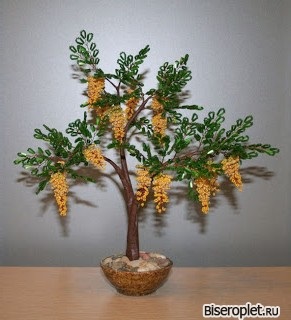 Acacia gyöngyökből - séma, mesterkurzus