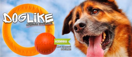 Tartozékok kutyáknak, online pet shop zoografie