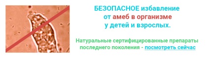 Amoeba foto amoeba, ciclul de viață al amoeba, simptome de infecție cu amoeba, opticialt