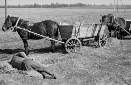 Anastas sutkus foto pentru mine - o modalitate de a comunica cu oamenii