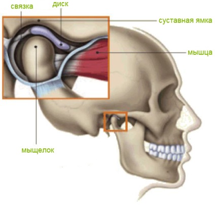 Anchiloza simptomelor articulare temporomandibulare, semne, prevenție