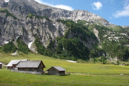 Alpii austrieci