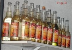 Mașină pe alcool, seminar științific electronic (Enns)