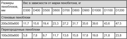 Baie de blocuri de spumă cu construcția propriilor mâini, finisare în interior și în exterior, construcție etapă-cu-etapă