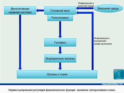 Biologie pentru elevi - 01