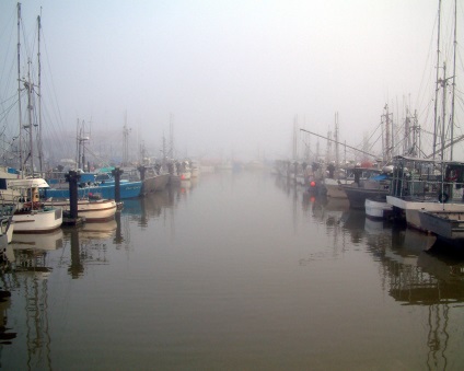 Fotograful blogului, fotografierea ceață