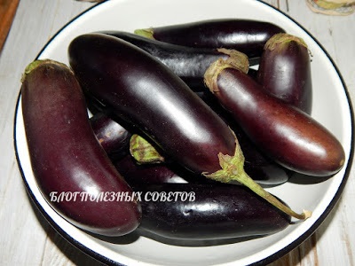 Blog de sfaturi utile aubergine întreg pentru rețetă de iarnă cu fotografie