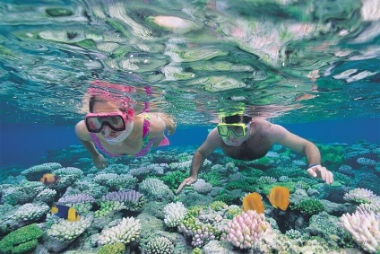 Marele Barrier Reef