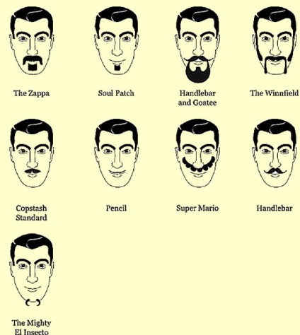 Bărbați și modă pentru barbă