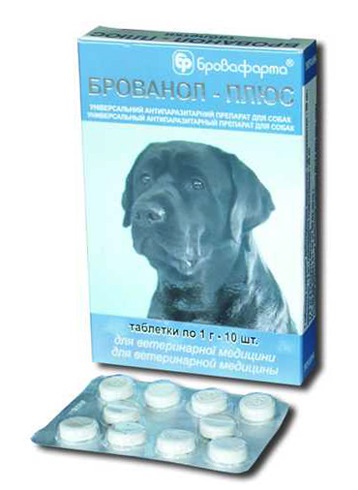 Bronolol plus kutyák oktatására és leírására, a kutyákról