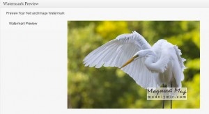 Marcaj filtru de filigran adăugând un filigran în wordpress