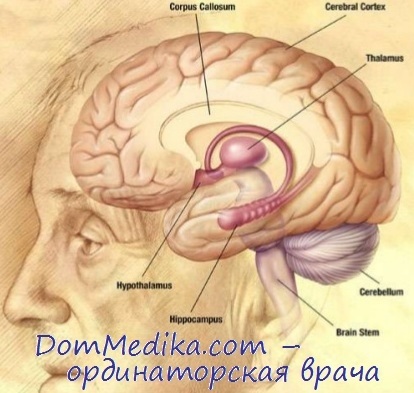 Tipul cerebral de tulburare de cauză-sensibilitate, clinică, diagnostic