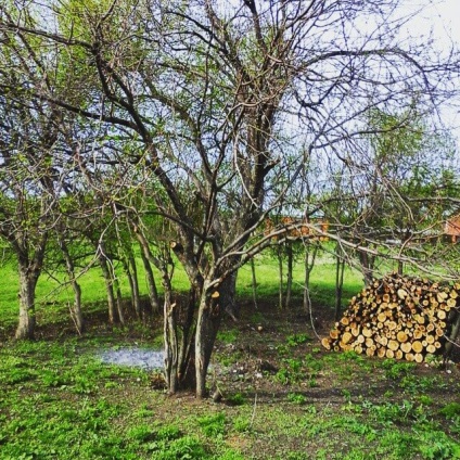 Mai bine să încălziți aragazul