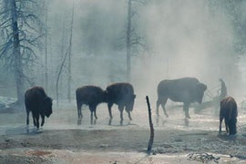 A túra csarnoka, az ősök misztikája