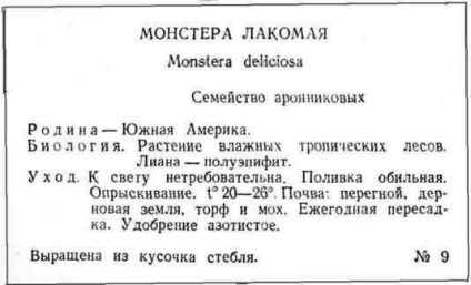 Ce puteți face cu un monstru - o călătorie cu plante domestice