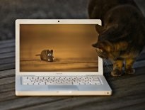 Ce trebuie să faceți dacă aerul macbook nu deschide fișiere