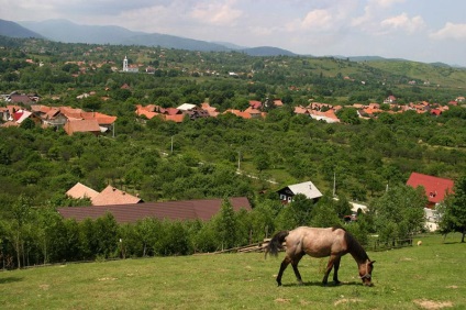 Urșii țigani sau românii în timpul iernii, primăvara și vara