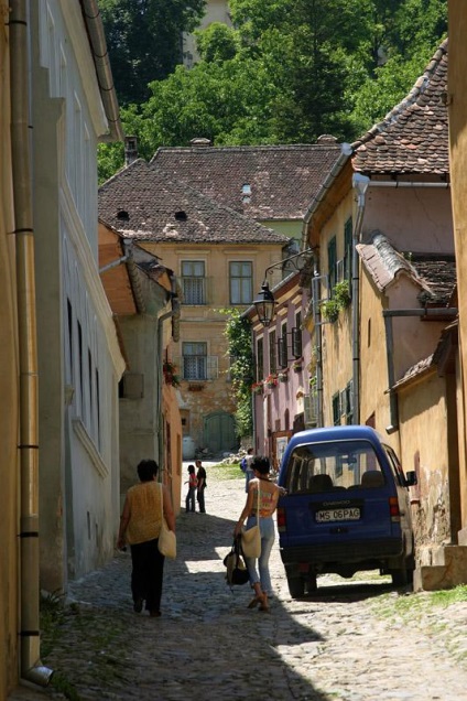 Urșii țigani sau românii în timpul iernii, primăvara și vara