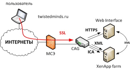 Portal de acces Citrix pe netscaler vpx - sfaturi - trucuri, răsucite