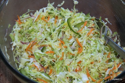 Coleslaw, o salată de primăvară versatilă - tot cormoranul olga de bloguri cu sare - culinar