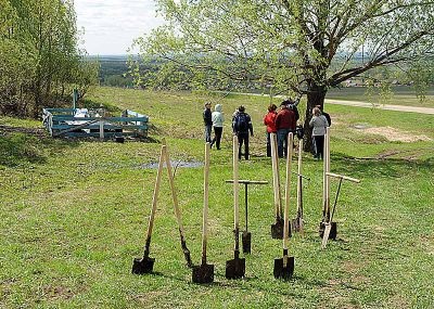 Socium - în cazul în care plantarea