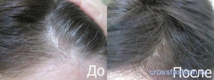 Grupul Crossfashion - decât să picteze pe părul gri profesionist de îngrijire a părului