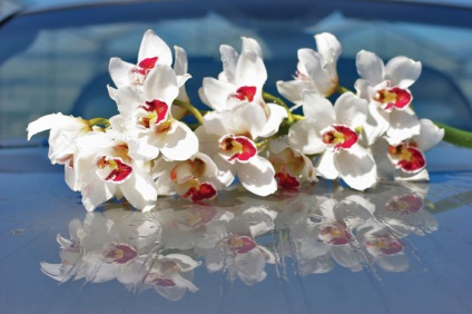 Virágok és csokrok ingyenes letöltés - orchidea, liliom, daylily