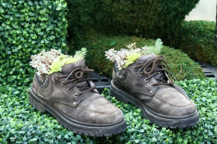 Virágcserepek régi cipőktől