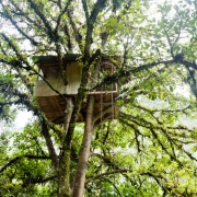 Casa de copaci 35 dintre cele mai izbitoare și neobișnuite exemple de opere de artă