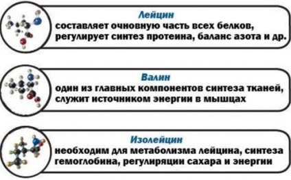 Dozaj și metode de administrare a complexului bcaa în pulbere și capsule