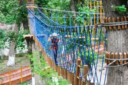 Jungla este numită! În parcul de coarde 