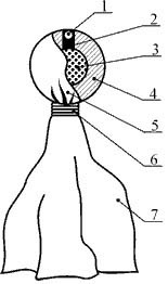 Gloanțe de expansiune pentru un pistol neted