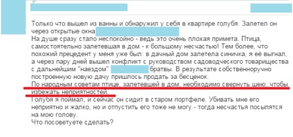 Dacă o albină sau o pasăre a intrat în casă