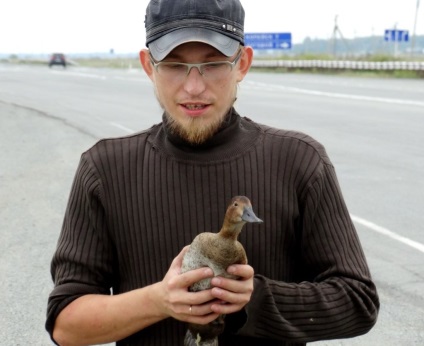 Eugene Popov megtámadott nekem bagolyral, és nyugodtan letépheti a fülét!