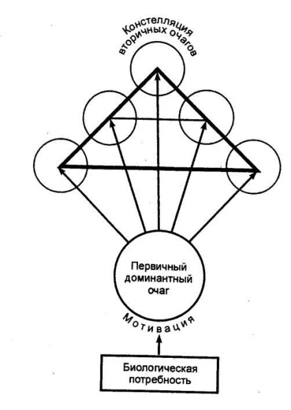 Fiziologia sistemului nervos